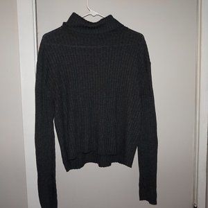 American Eagle Ribbed Turtle Neck